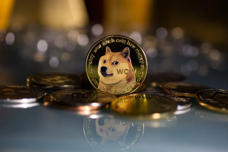 Best platforms for trading Dogecoin in 2026 – compare top Dogecoin trading platforms