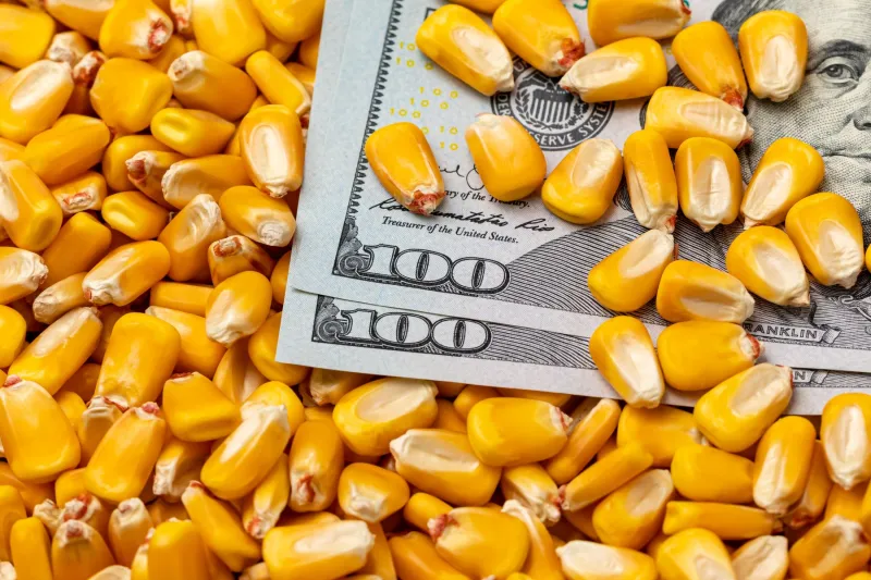 Best platforms for trading corn in 2026 – compare top agricultural commodity trading platforms