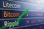Crypto News Crypto News